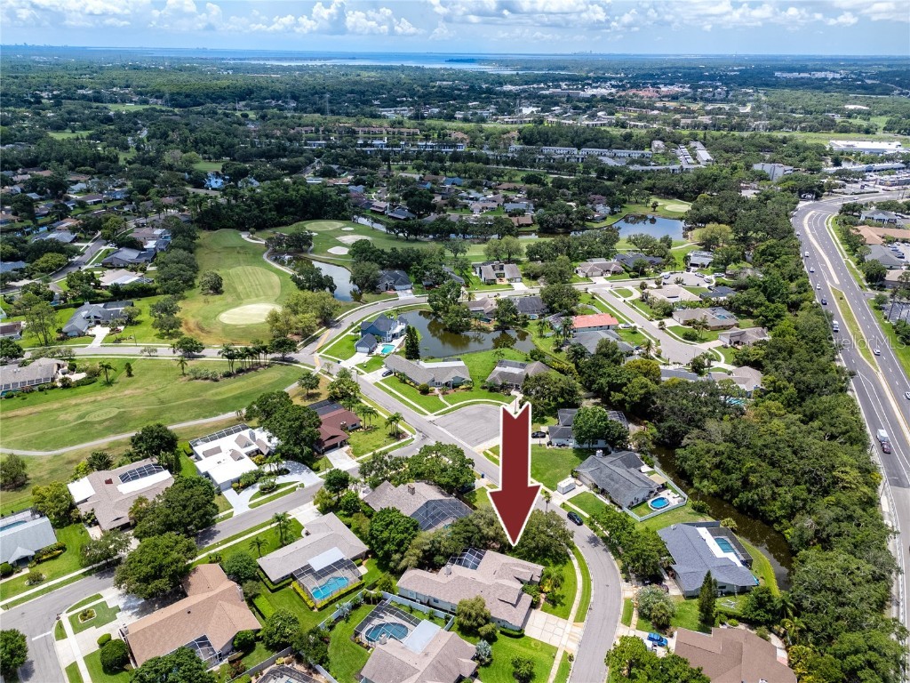 335 Palmdale Drive Oldsmar FL 34677 TB8396762 image79