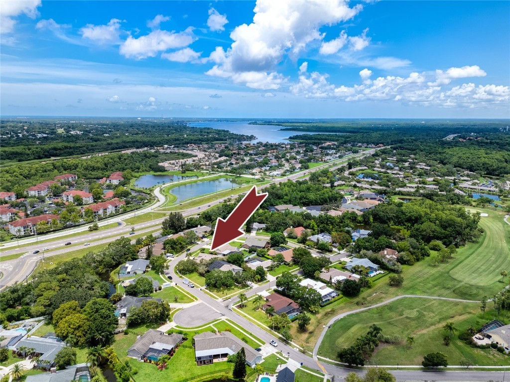 335 Palmdale Drive Oldsmar FL 34677 TB8396762 image81