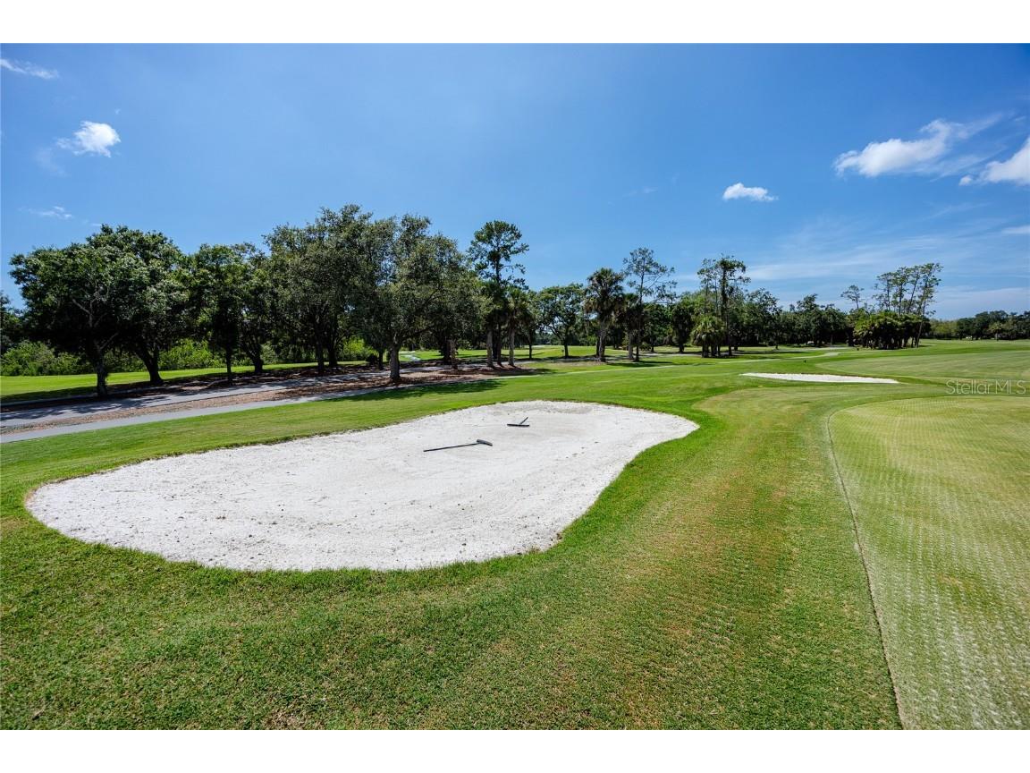 335 Palmdale Drive Oldsmar FL 34677 TB8396762 image85