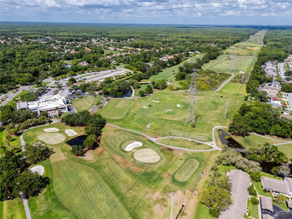 335 Palmdale Drive Oldsmar FL 34677 TB8396762 image86