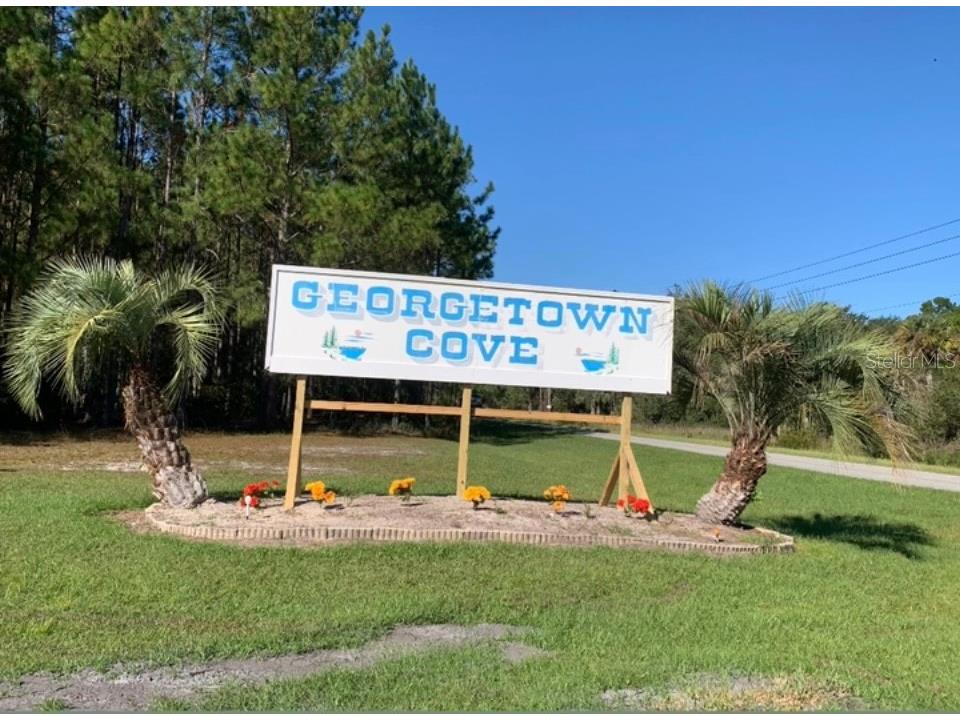 335 Paradise Boulevard Georgetown FL 32139 V4931613 image1