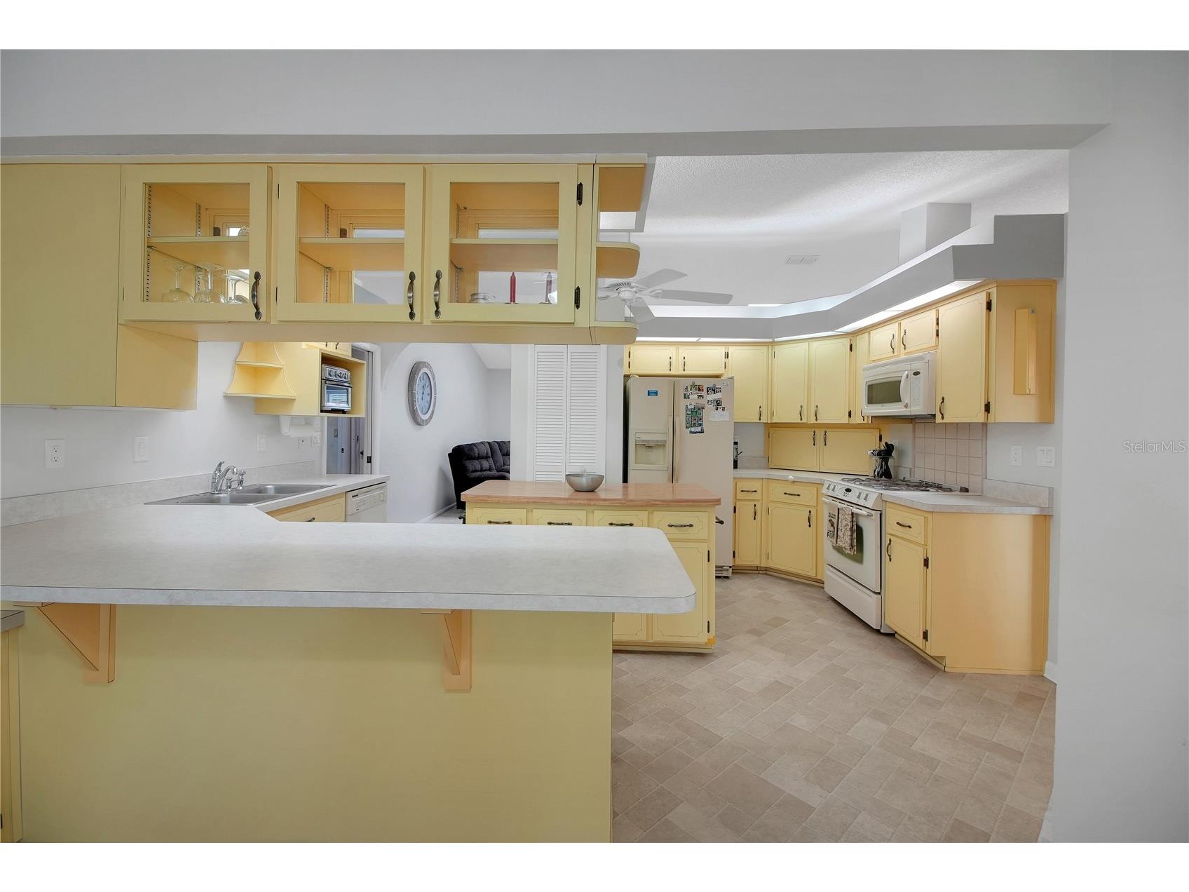 335 River Glass Court Leesburg FL 34788 G5110817 image18