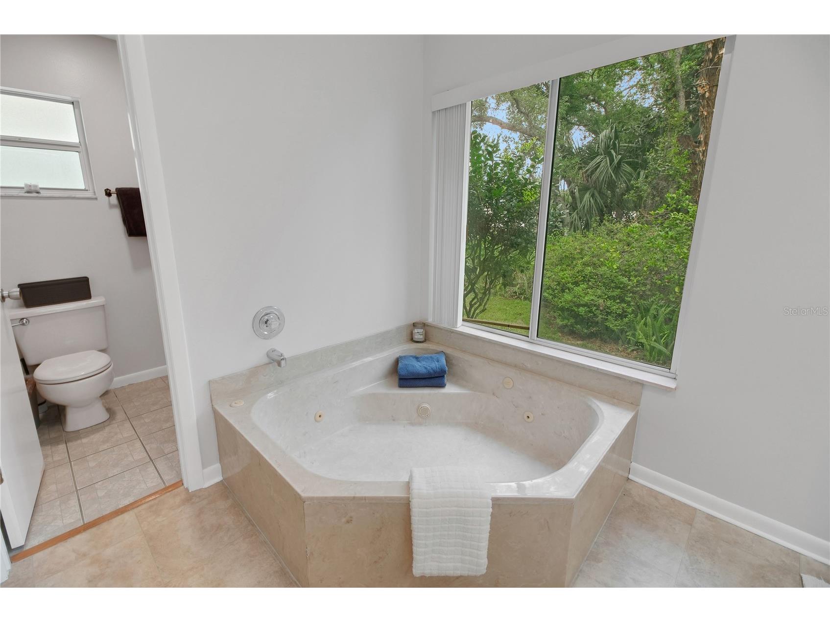 335 River Glass Court Leesburg FL 34788 G5110817 image38