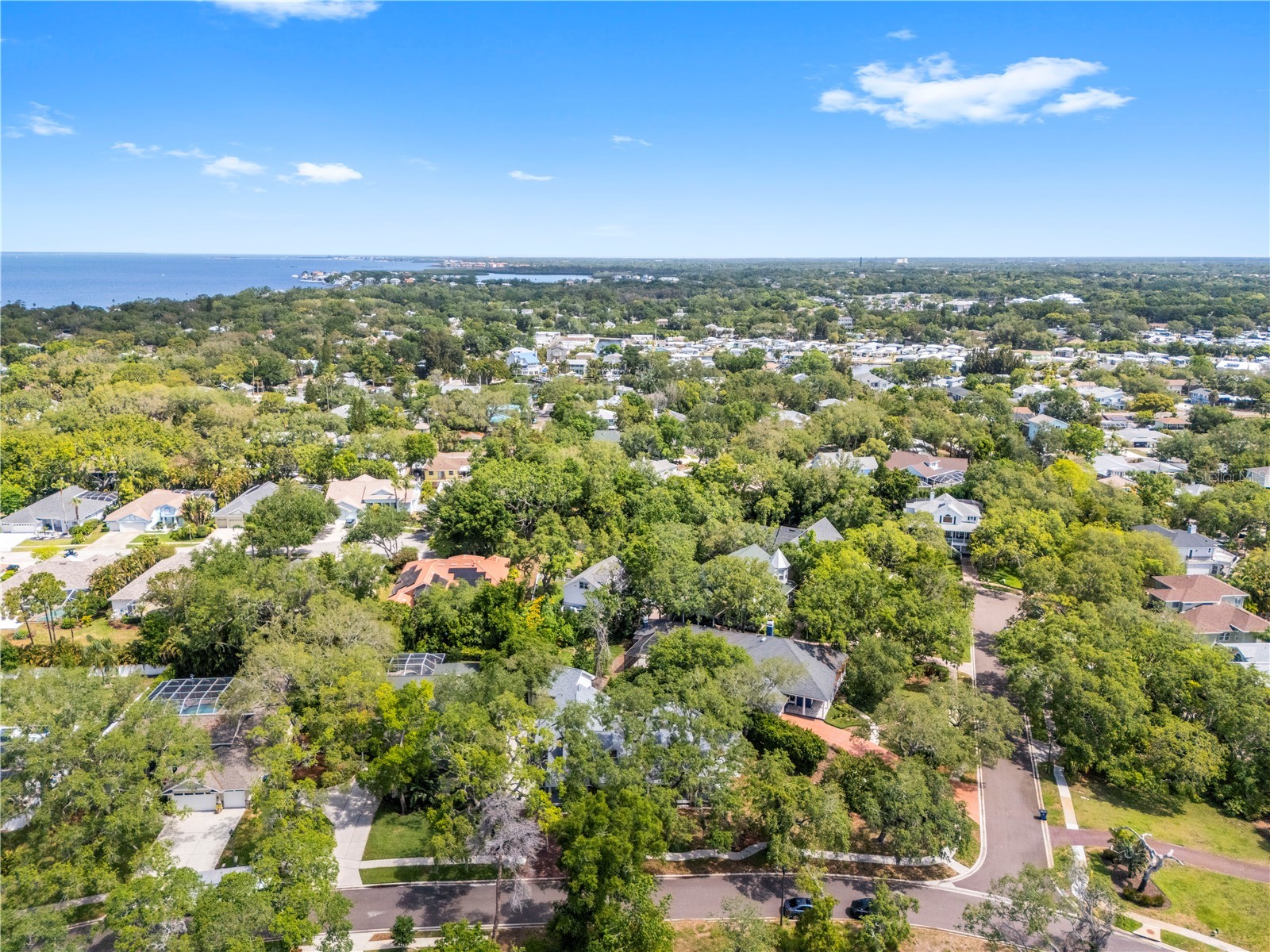 335 Sanctuary Drive Crystal Beach FL 34681 TB8503163 image75
