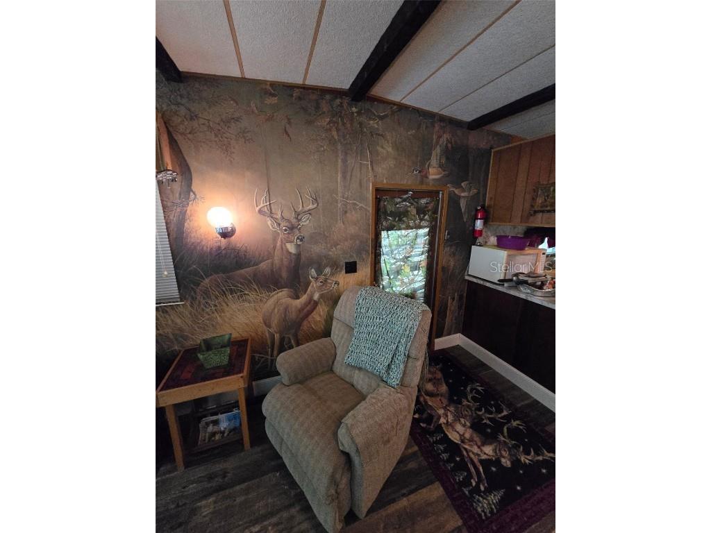 335 SE Yearling Road Mayo FL 32066 A4649055 image14