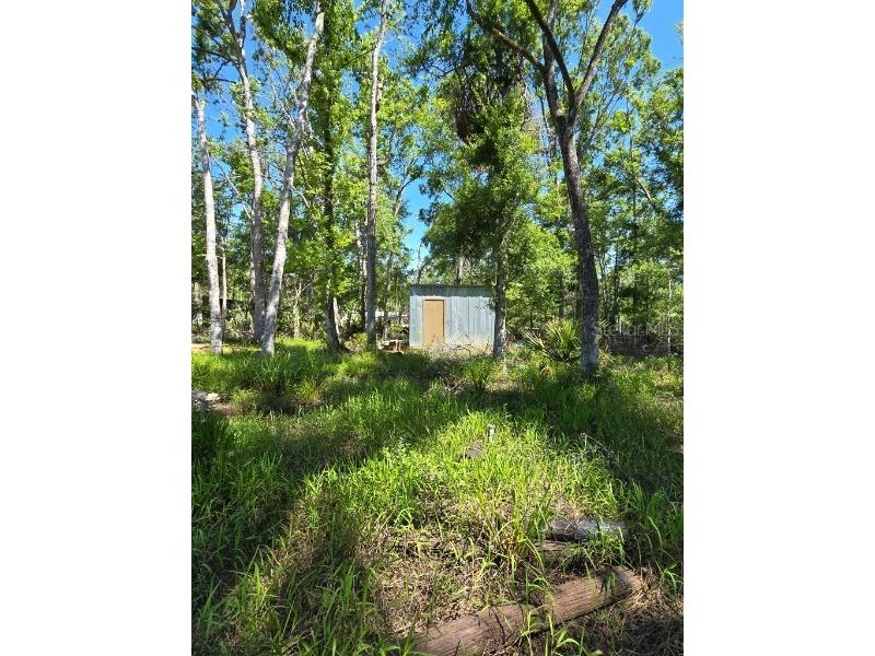 335 SE Yearling Road Mayo FL 32066 A4649055 image27