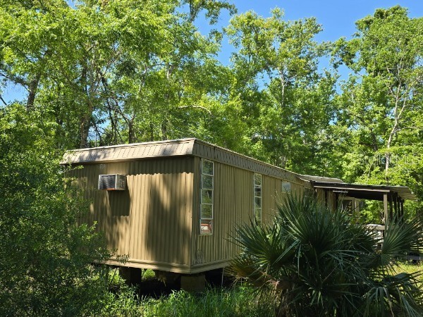 335 SE Yearling Road Mayo FL 32066 A4649055 image28