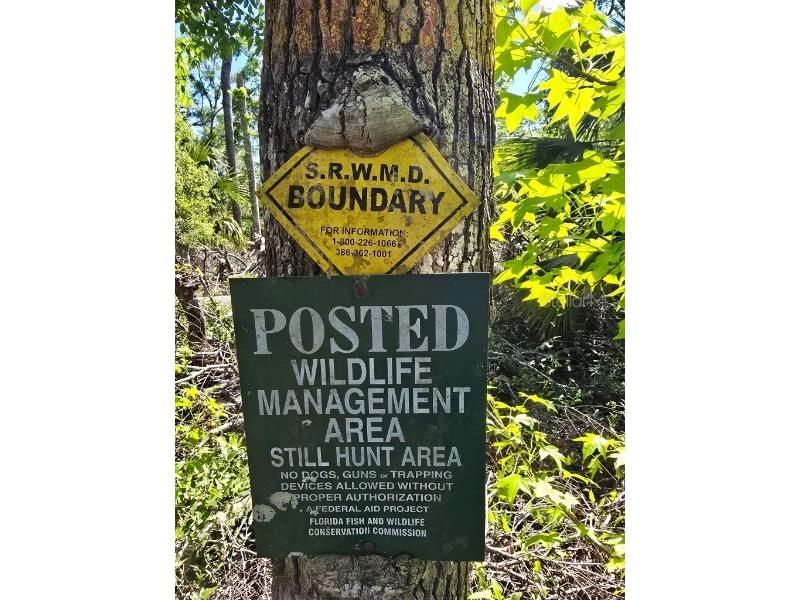 335 SE Yearling Road Mayo FL 32066 A4649055 image3