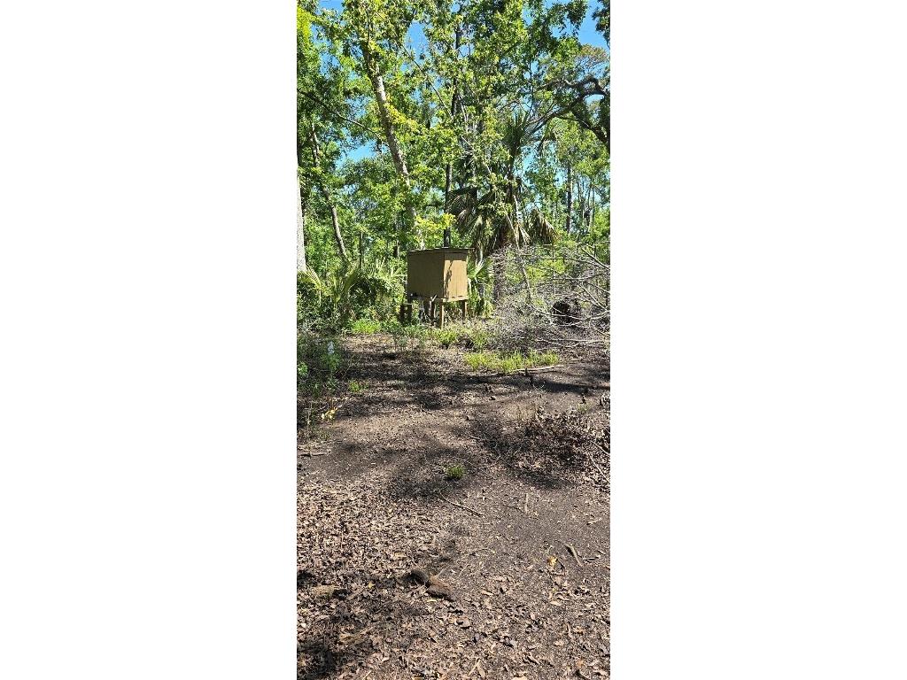 335 SE Yearling Road Mayo FL 32066 A4649055 image32