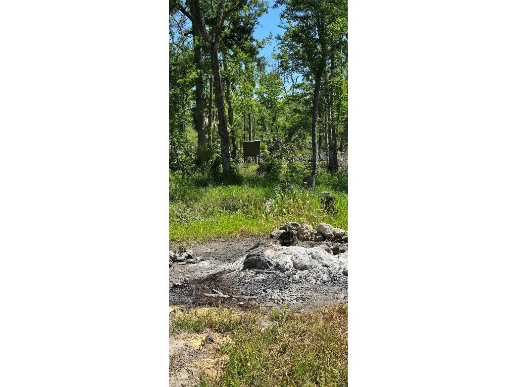 335 SE Yearling Road Mayo FL 32066 A4649055 image34