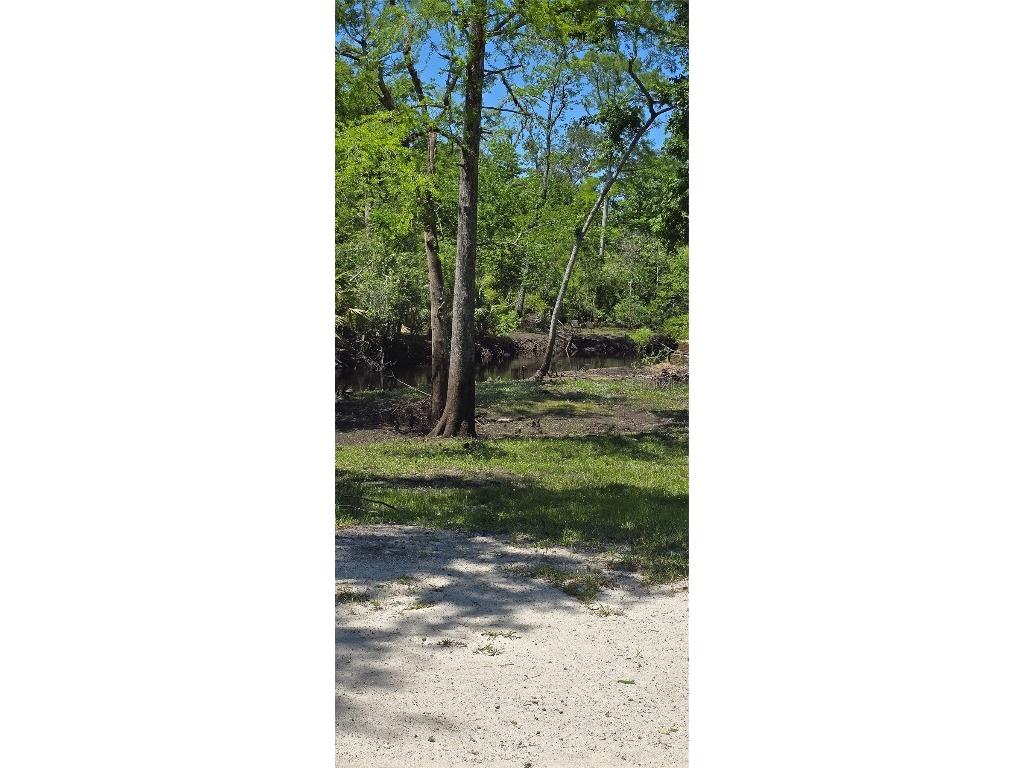 335 SE Yearling Road Mayo FL 32066 A4649055 image35