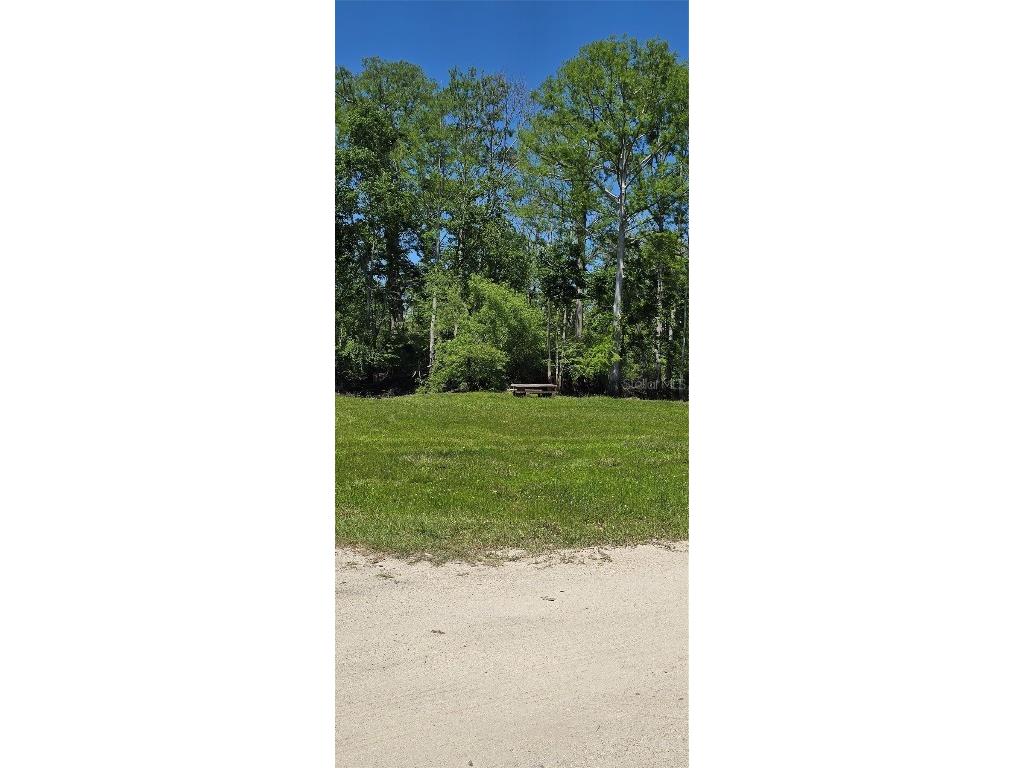 335 SE Yearling Road Mayo FL 32066 A4649055 image36