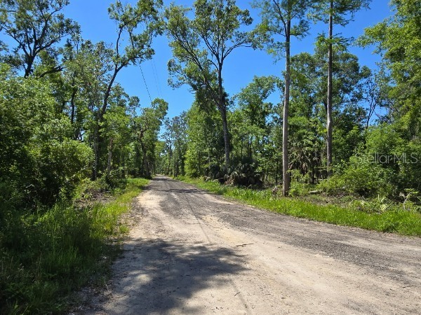 335 SE Yearling Road Mayo FL 32066 A4649055 image39