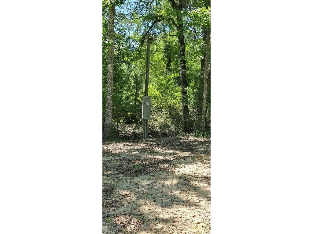 335 SE Yearling Road Mayo FL 32066 A4649055 image6