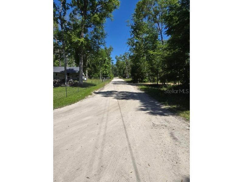 335 SE Yearling Road Mayo FL 32066 A4649055 image7