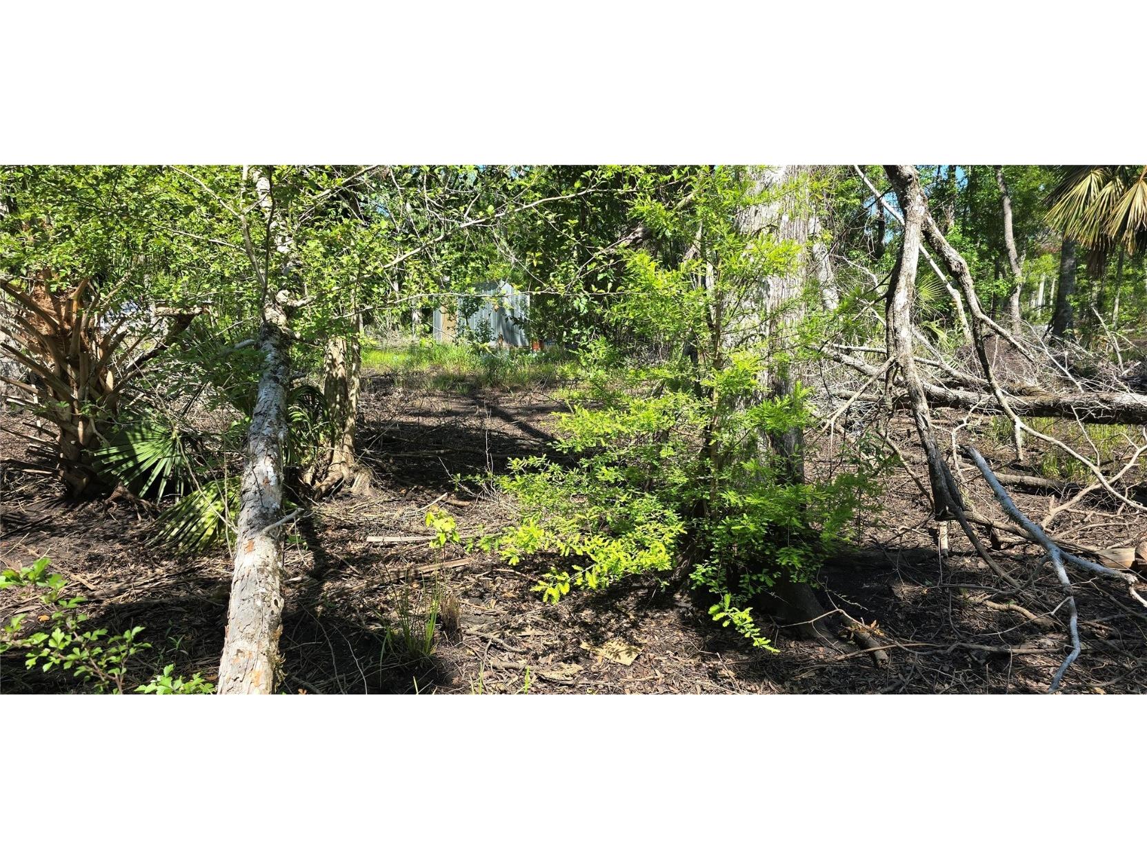 335 SE Yearling Road Mayo FL 32066 A4649055 image8