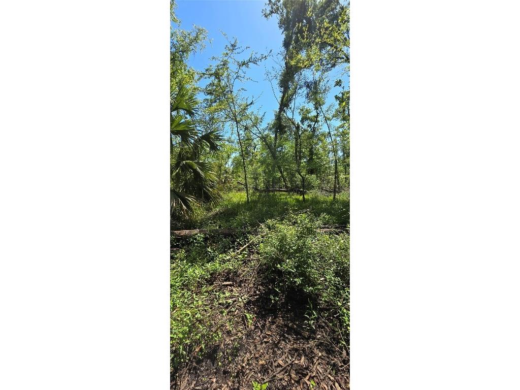 335 SE Yearling Road Mayo FL 32066 A4649055 image9