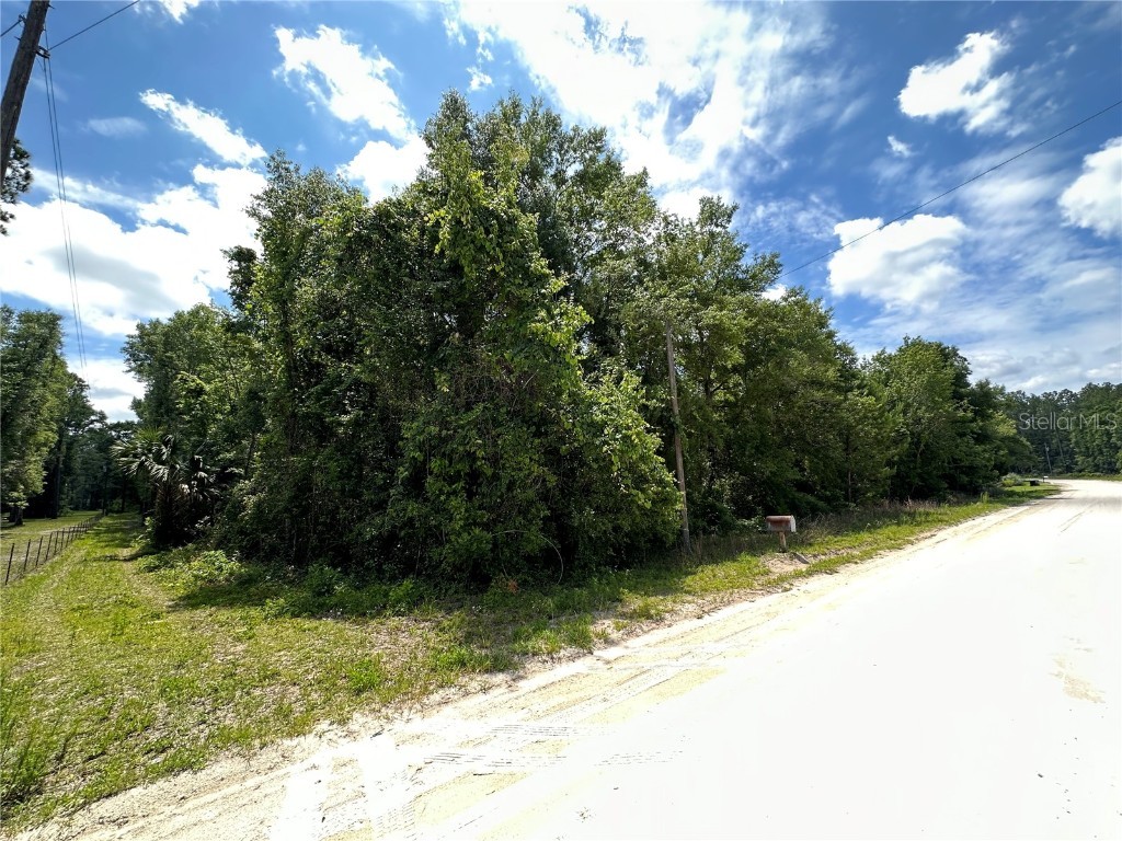 335 SW Randolph Court Fort White FL 32038 GC513650 image1