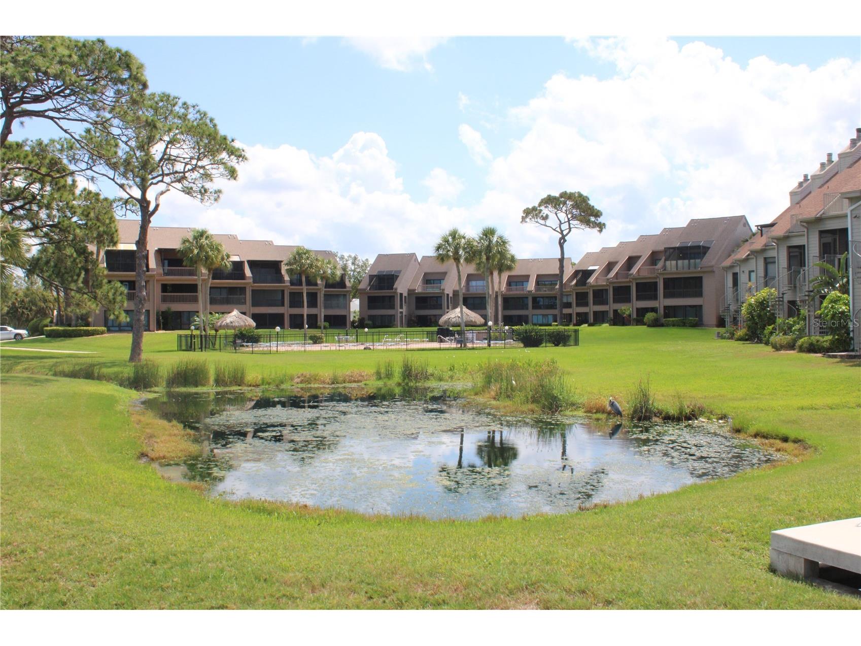 335 Windrush Loop #335 Tarpon Springs FL 34689 TB8510543 image15