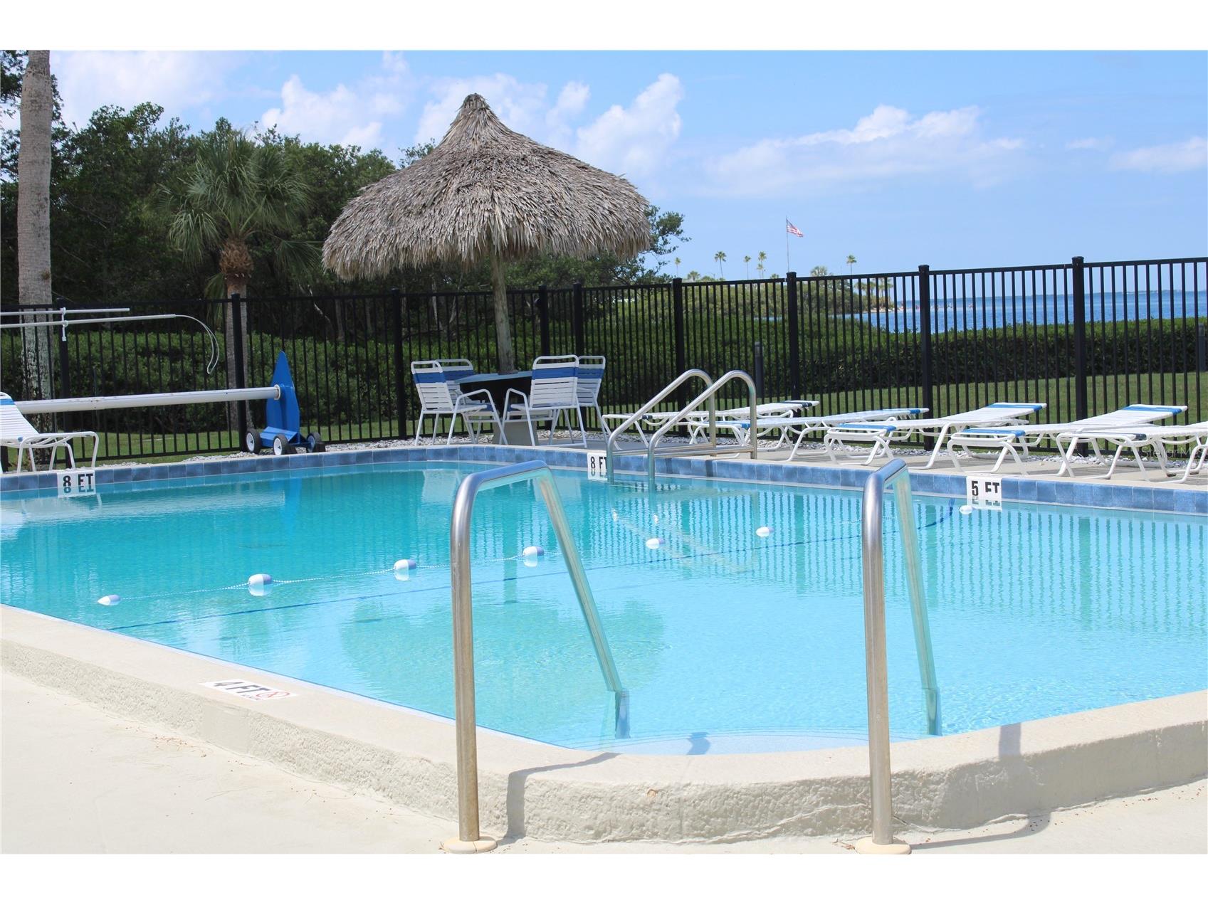 335 Windrush Loop #335 Tarpon Springs FL 34689 TB8510543 image16