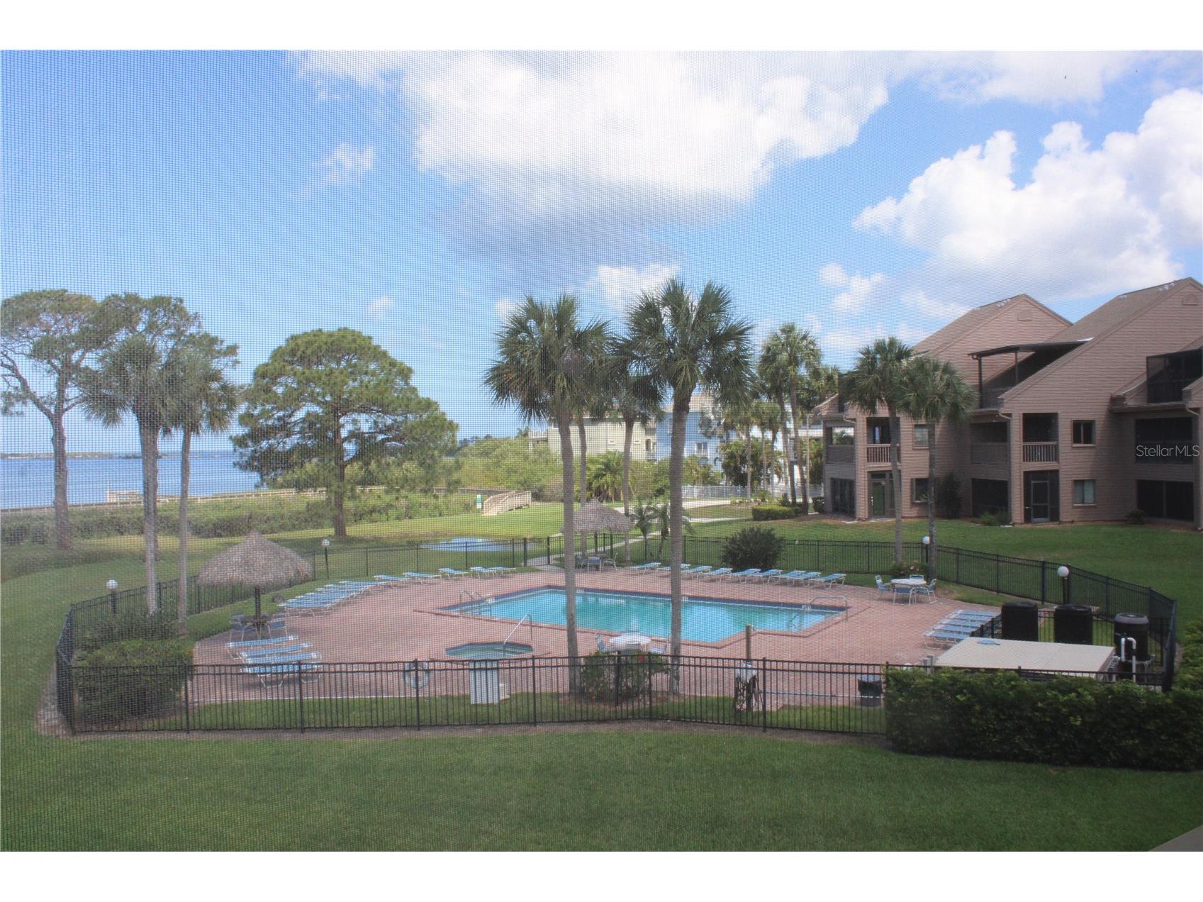 335 Windrush Loop #335 Tarpon Springs FL 34689 TB8510543 image17