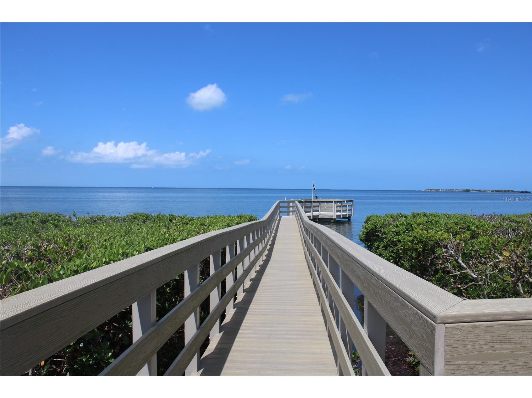 335 Windrush Loop #335 Tarpon Springs FL 34689 TB8510543 image18
