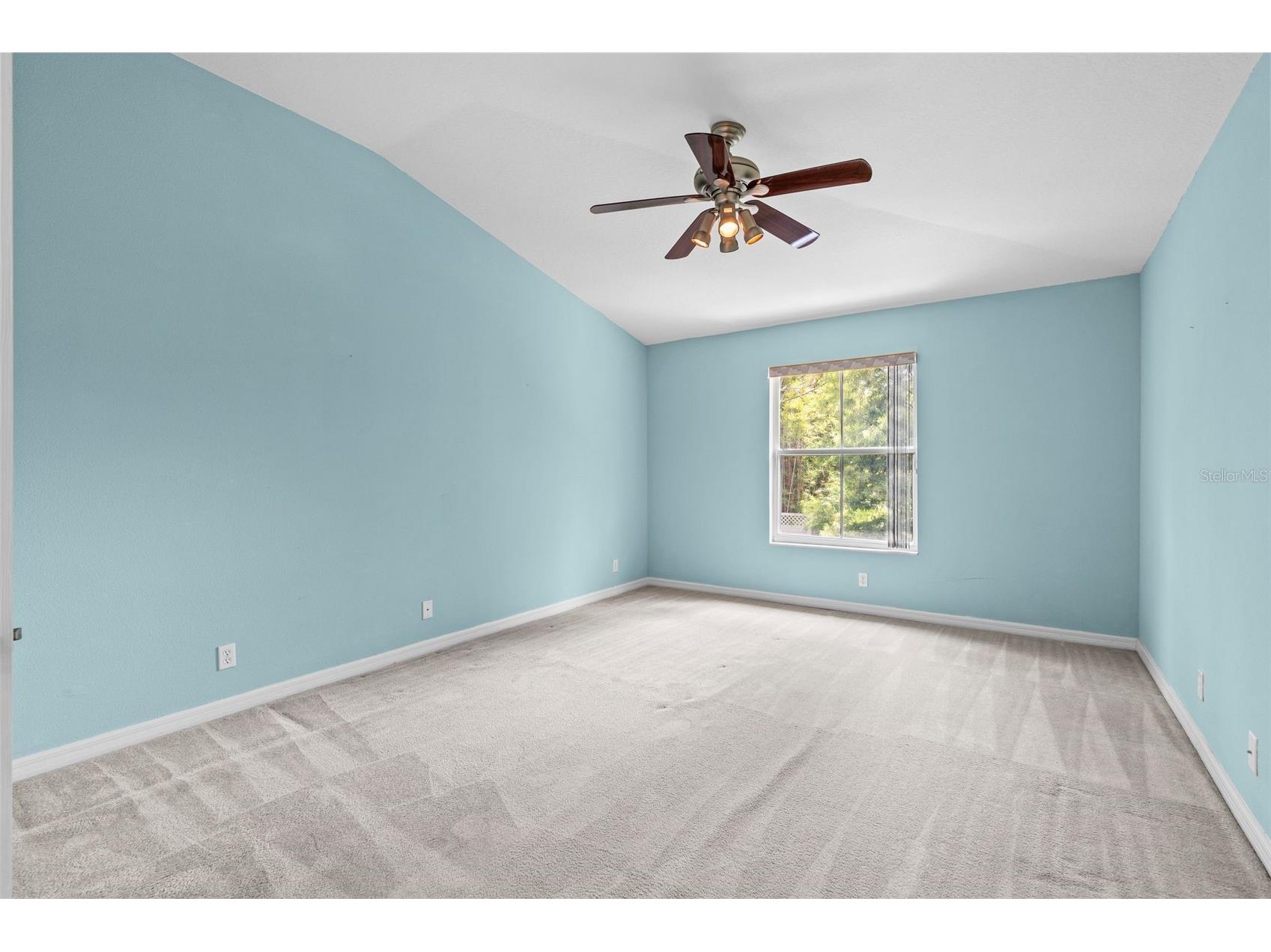 3350 Covered Bridge Drive W Dunedin FL 34698 TB8521723 image36