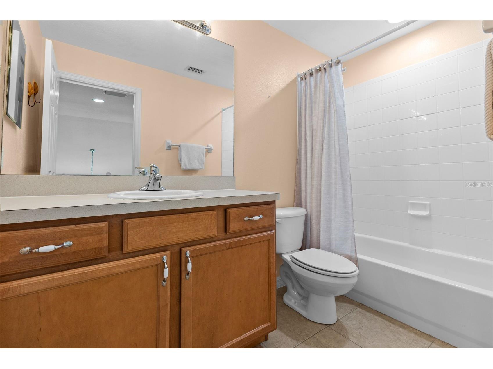 3350 Covered Bridge Drive W Dunedin FL 34698 TB8521723 image38