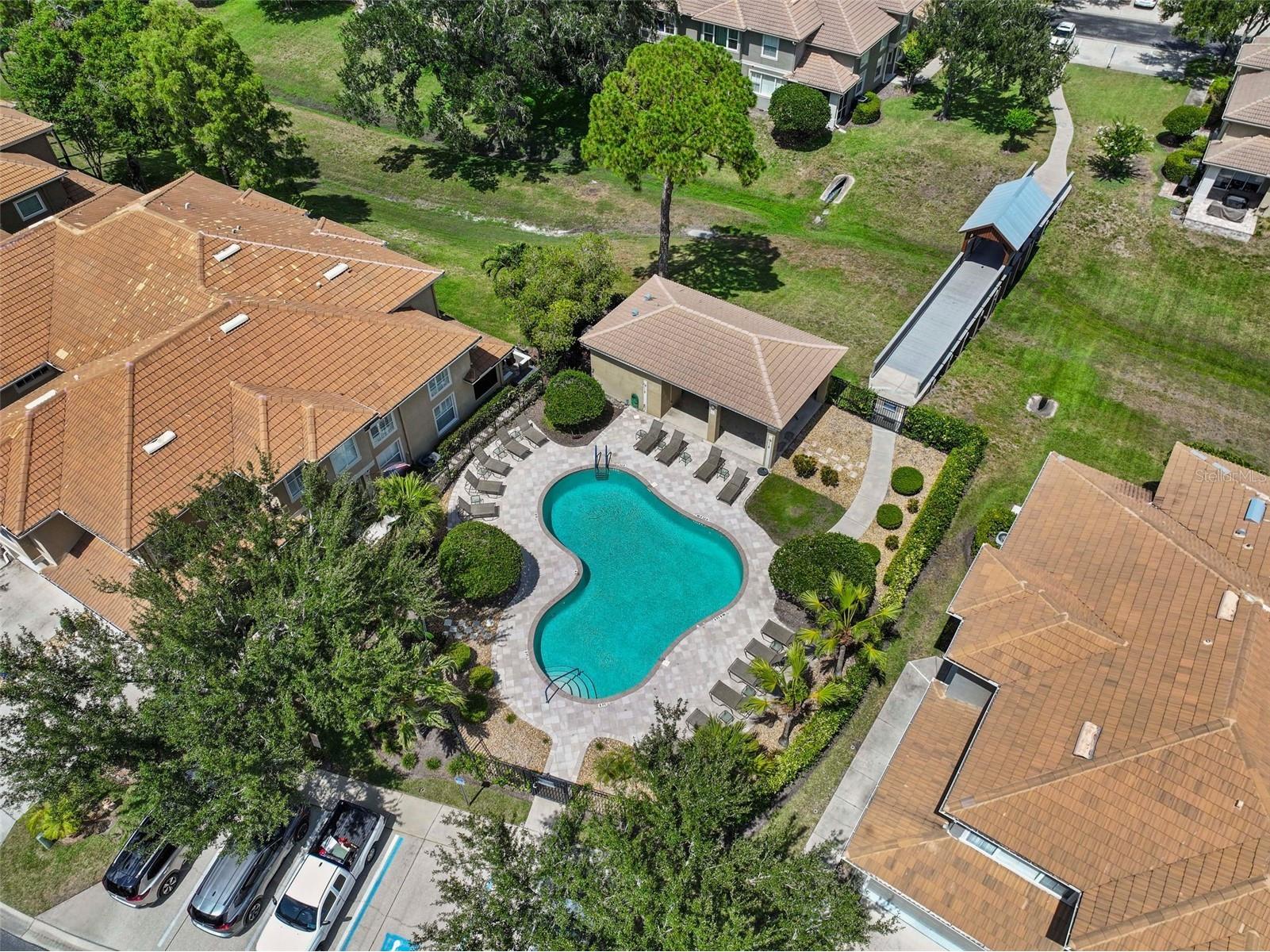 3350 Covered Bridge Drive W Dunedin FL 34698 TB8521723 image56