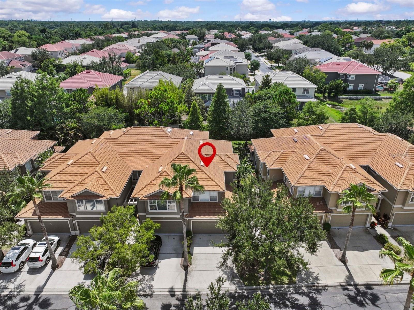 3350 Covered Bridge Drive W Dunedin FL 34698 TB8521723 image57