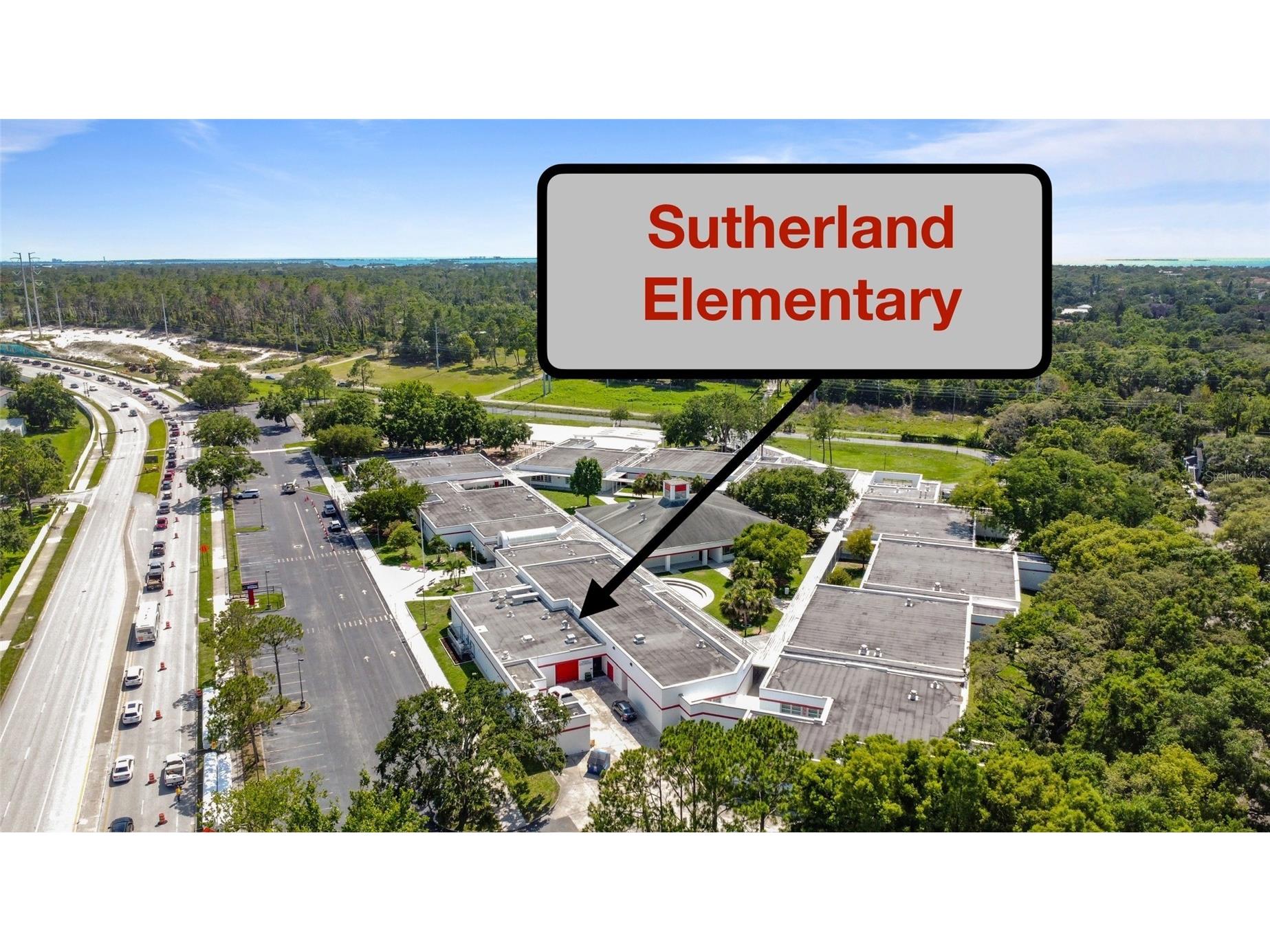 3350 Fox Hunt Drive Palm Harbor FL 34683 TB8494888 image38