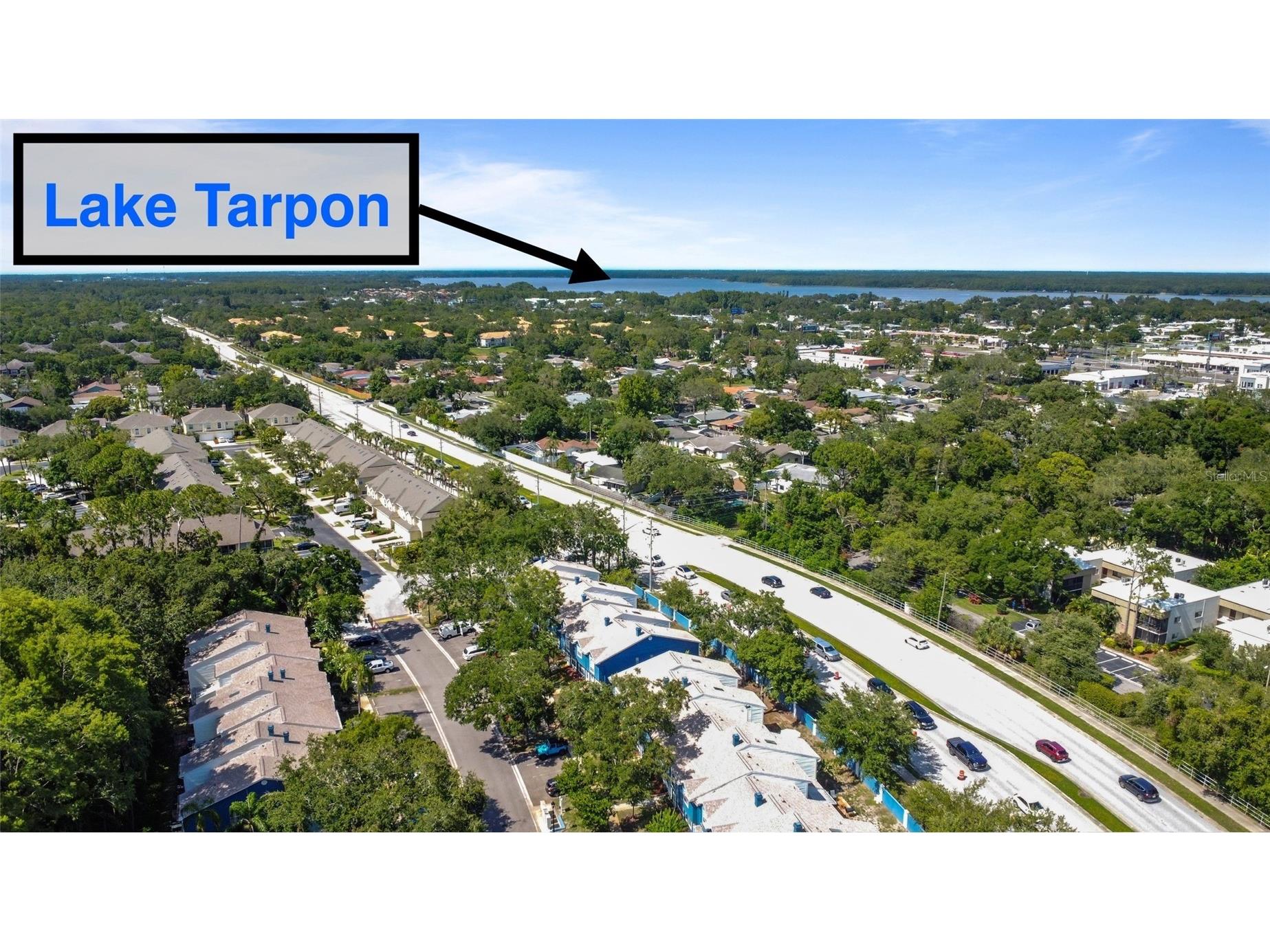 3350 Fox Hunt Drive Palm Harbor FL 34683 TB8494888 image42