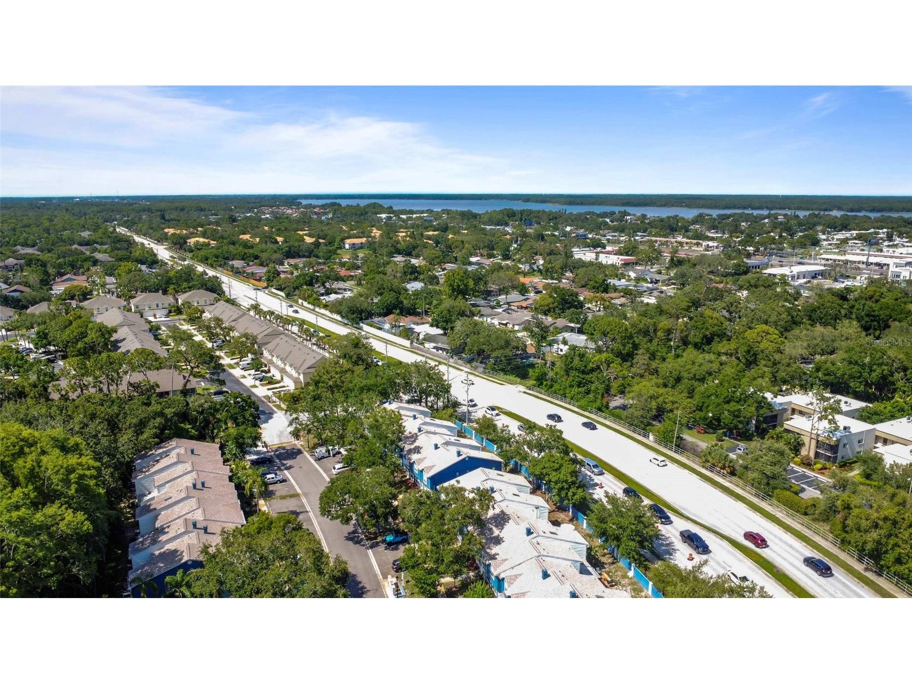 3350 Fox Hunt Drive Palm Harbor FL 34683 TB8494888 image43