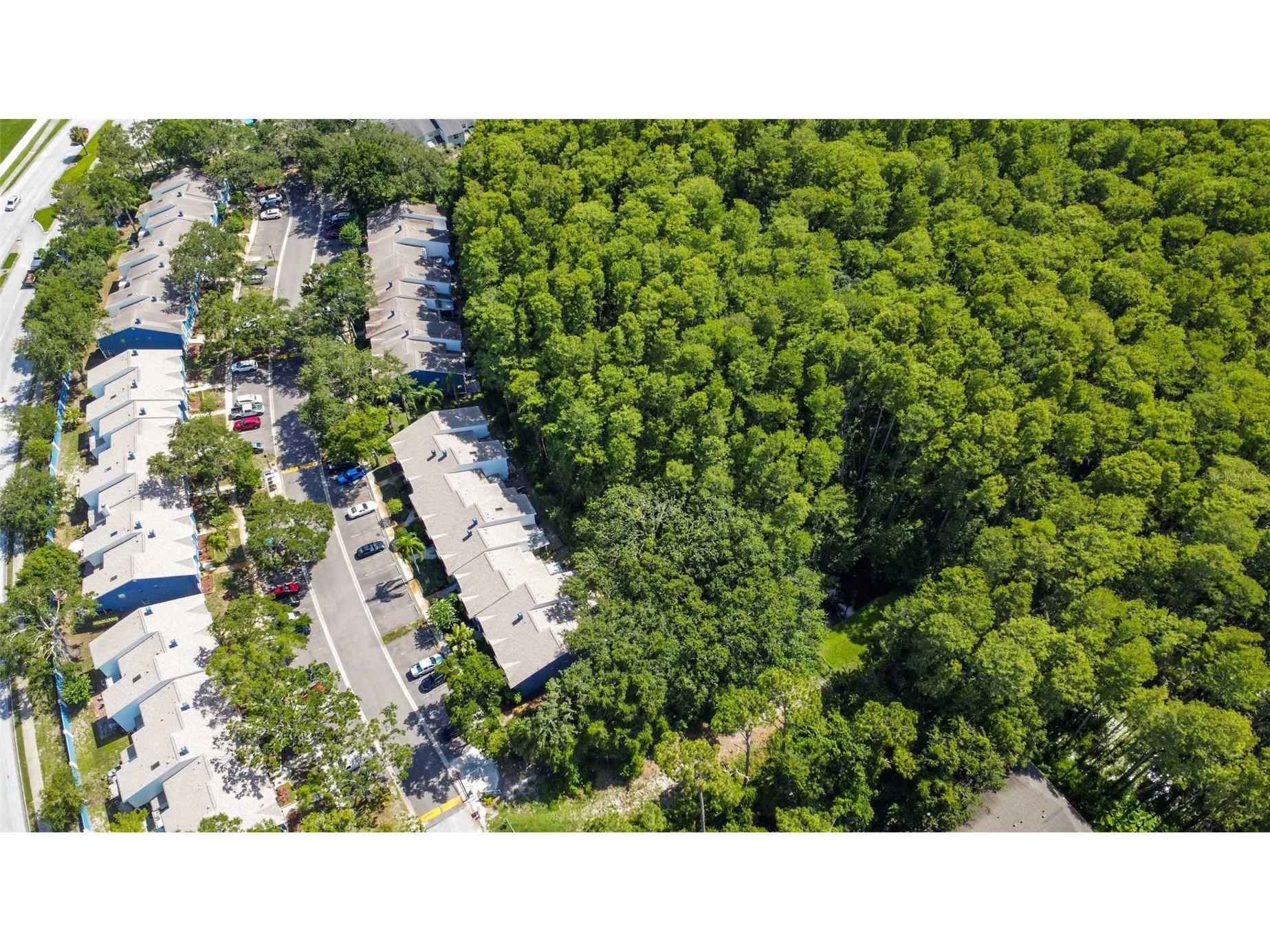 3350 Fox Hunt Drive Palm Harbor FL 34683 TB8494888 image44