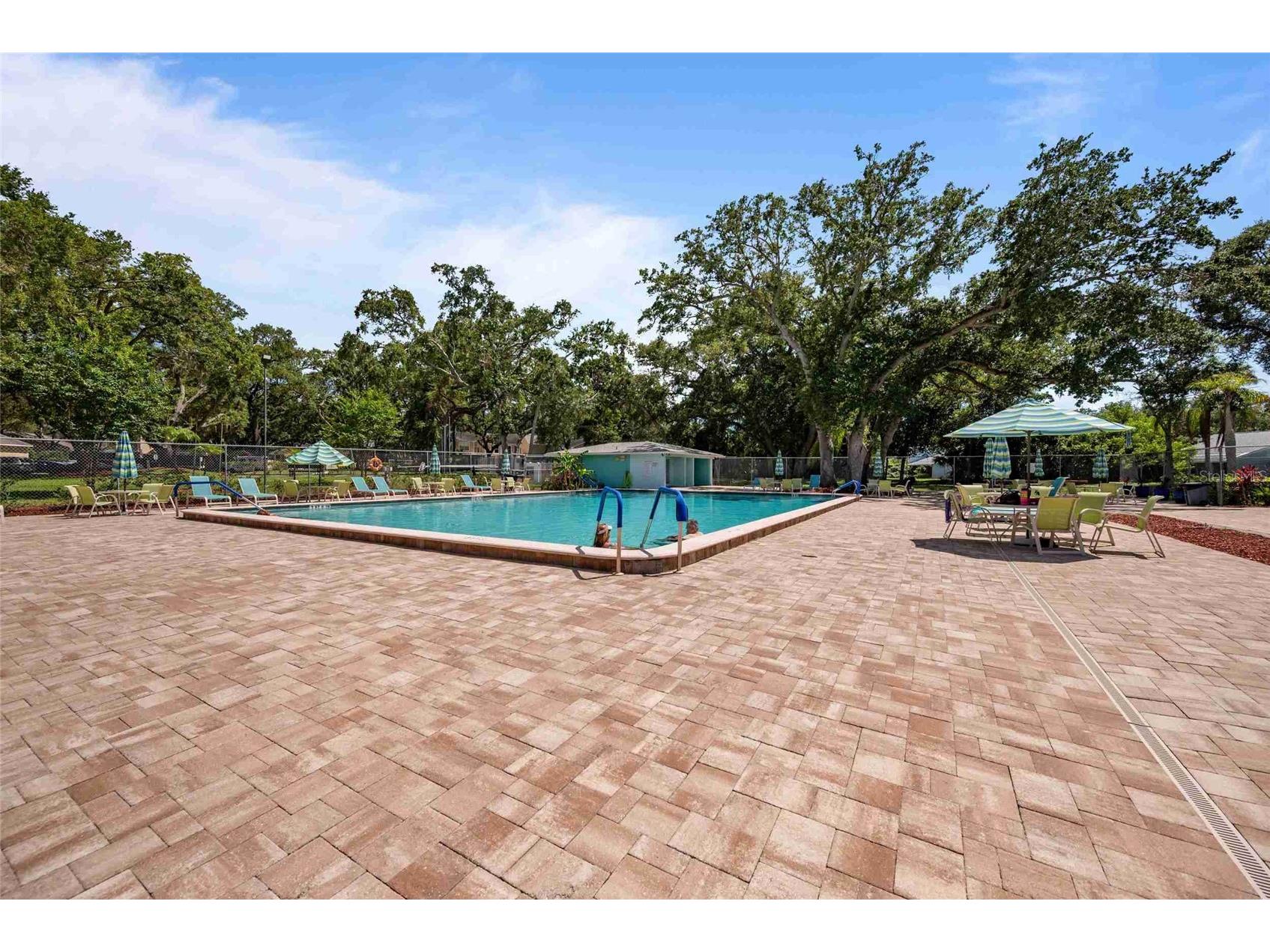 3350 Fox Hunt Drive Palm Harbor FL 34683 TB8494888 image5