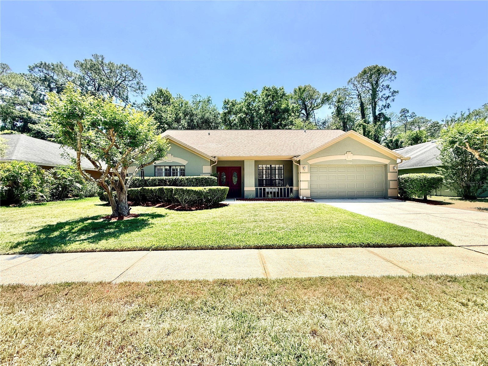 3350 Laurelwood Court Tarpon Springs FL 34688 TB8499566 image1