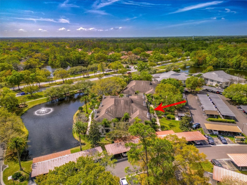 3350 Mermoor Drive #1202 Palm Harbor FL 34685 U8234305 image1