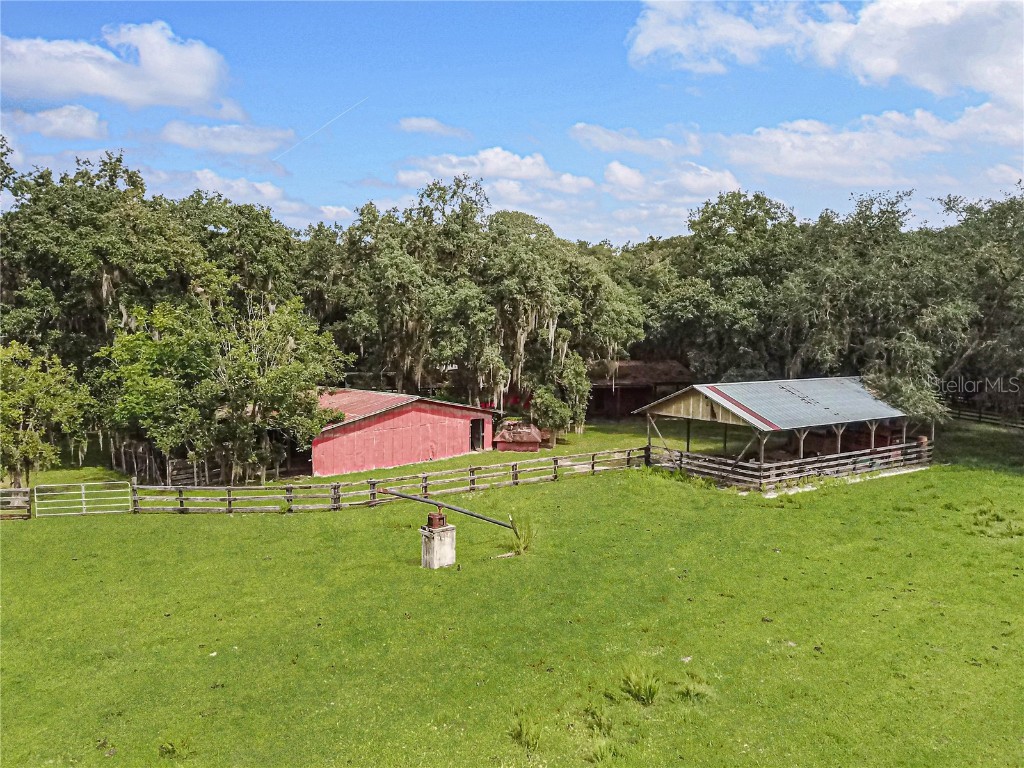 3350 NE 125th Terrace Road Silver Springs FL 34488 OM645655 image10