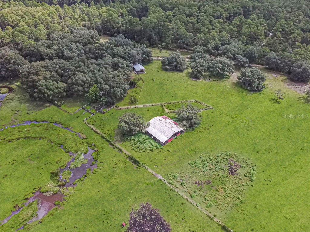 3350 NE 125th Terrace Road Silver Springs FL 34488 OM645655 image11