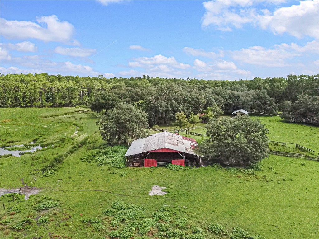 3350 NE 125th Terrace Road Silver Springs FL 34488 OM645655 image12