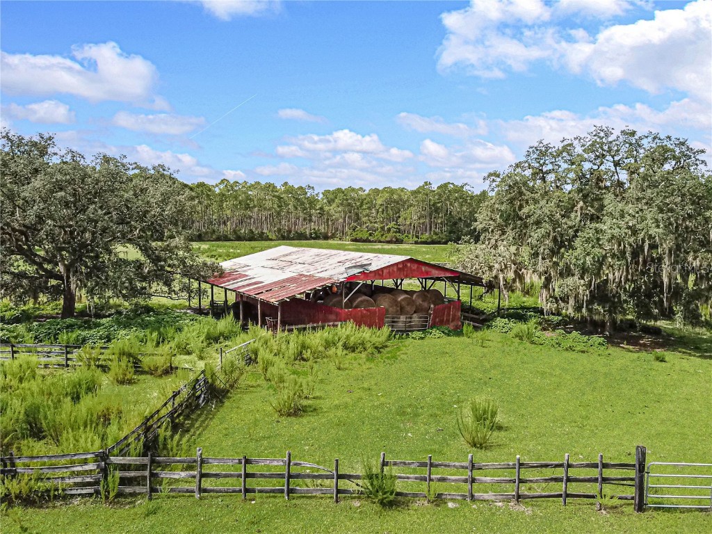 3350 NE 125th Terrace Road Silver Springs FL 34488 OM645655 image13