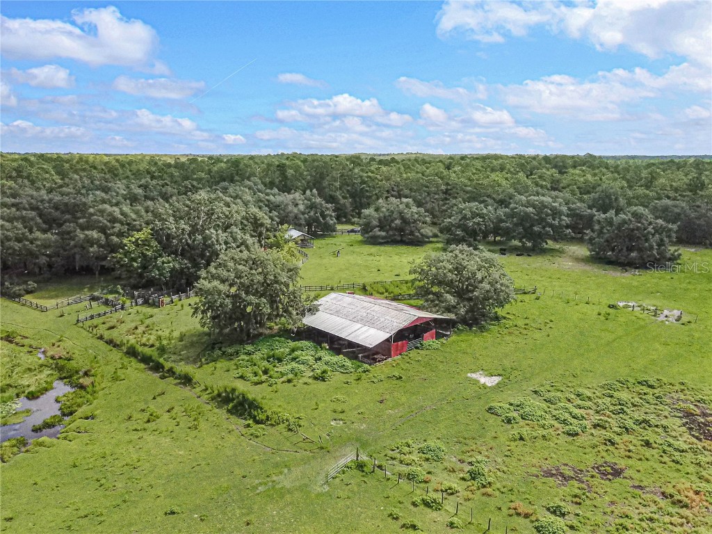 3350 NE 125th Terrace Road Silver Springs FL 34488 OM645655 image14