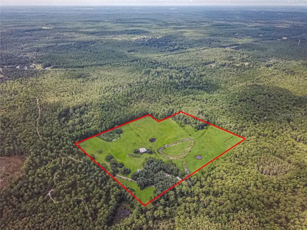 3350 NE 125th Terrace Road Silver Springs FL 34488 OM645655 image3