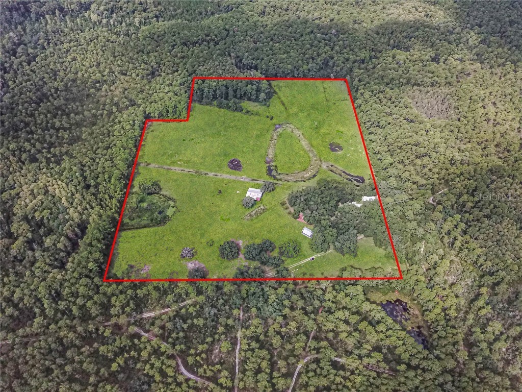 3350 NE 125th Terrace Road Silver Springs FL 34488 OM645655 image4