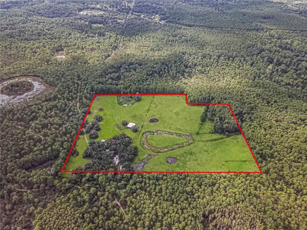 3350 NE 125th Terrace Road Silver Springs FL 34488 OM645655 image5