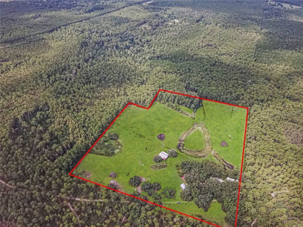 3350 NE 125th Terrace Road Silver Springs FL 34488 OM645655 image6