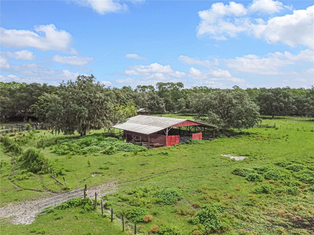 3350 NE 125th Terrace Road Silver Springs FL 34488 OM645655 image7