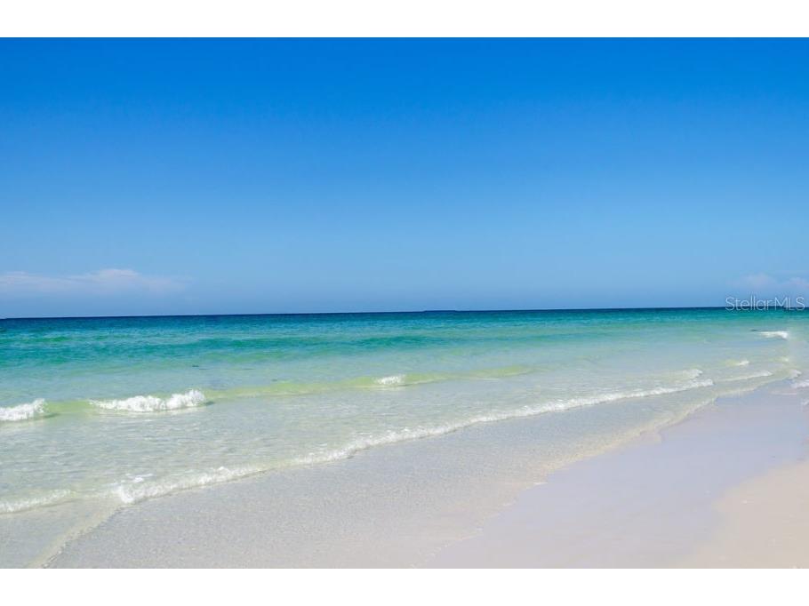 3350 S Osprey Avenue #209A Sarasota FL 34239 A4691461 image33