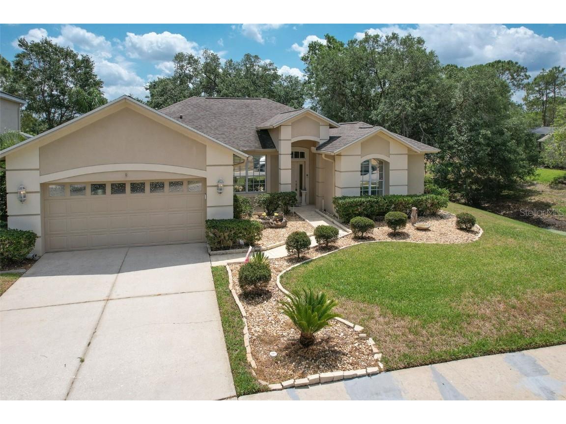 3350 Stonebridge Trl Valrico FL 33596 TB8383996 image1