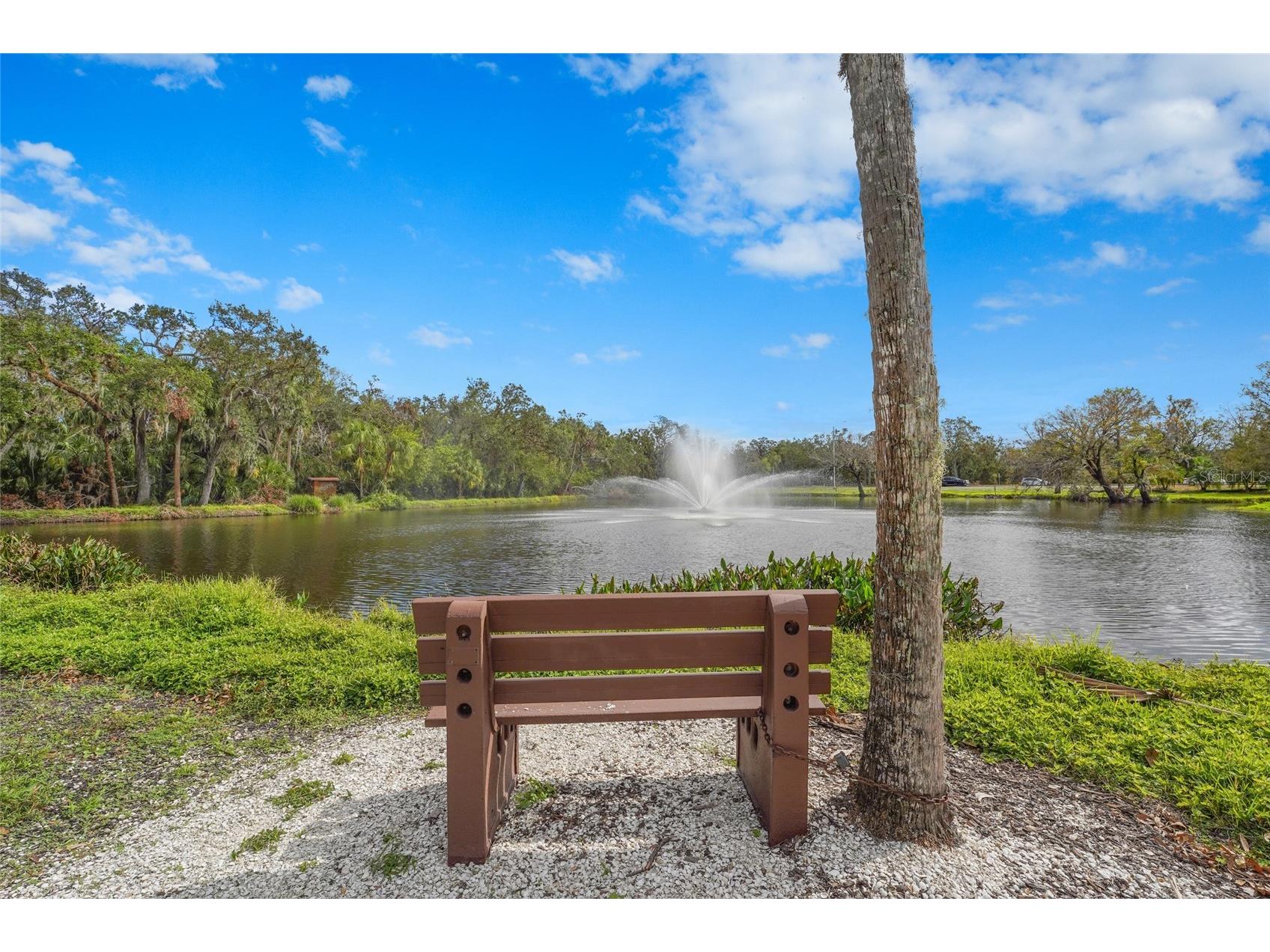 3350 W Chelmsford Court #13 Sarasota FL 34235 TB8466391 image58